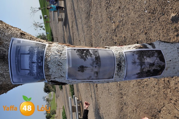 kidsrabeta515 (46).JPG